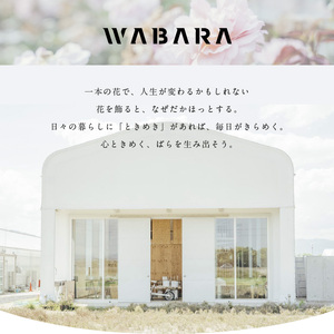 わばら花束S-ROSE CHARLOTTE PERRIAND Rose Farm KEIJI WABARA 記念日