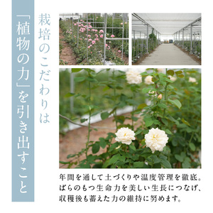 わばら花束S-ROSE CHARLOTTE PERRIAND Rose Farm KEIJI WABARA 記念日