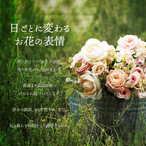 わばらWABARA の花束L Rose Farm KEIJI