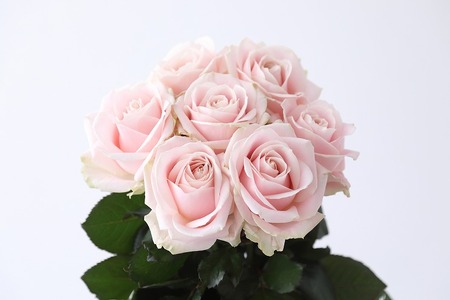 Flower Bouquet（バラのブーケ）20本　淡いピンク系