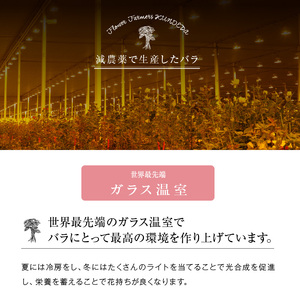 Flower Bouquet（バラのブーケ）25本　赤系　花束 お祝い プレゼント 誕生日 ギフト 贈答 記念日 AN-0004-01