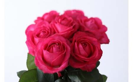 【総本数100本！】國枝バラ園から直送！Flower Bouquet（25本の花束×４ケース）濃いピンク
