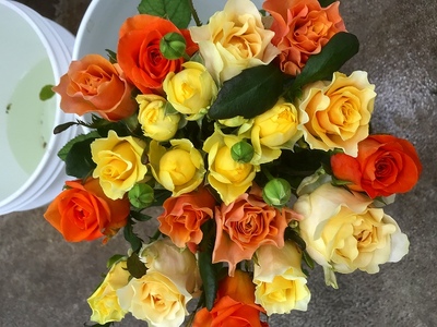 【総本数100本！】國枝バラ園から直送！Flower Bouquet（25本の花束×４ケース）オレンジ