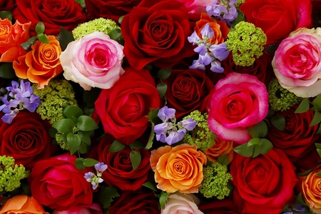 【定期便:12カ月】國枝バラ園から直送!Flower Bouquet(10本の花束)赤系 薔薇 ばら バラ 花束 お祝い プレゼント 誕生日 記念日 クニエダ株式会社