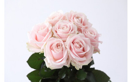 【定期便：12カ月】國枝バラ園から直送！Flower Bouquet（10本の花束）淡いピンク系