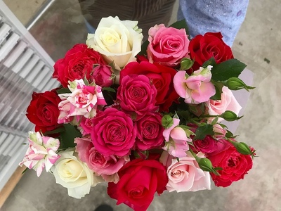【定期便：12カ月】國枝バラ園から直送！Flower Bouquet（15本の花束）濃いピンク系