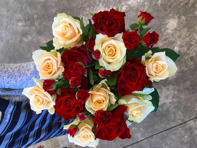 【定期便：12カ月】國枝バラ園から直送！Flower Bouquet（25本の花束）色おまかせ