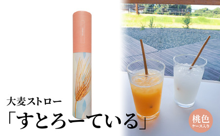 大麦ストロー「すとろーている」、ケース入り桃色　天然素材 エコ ストロー 大麦 すとろーている 20本 ケース入り 選べる 栽培期間中農薬不使用 SDGs 土に還る 脱プラ 脱プラスチック インテリア おしゃれ 環境保全 人気 自然 CC-0002_2