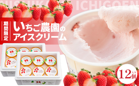 数量限定！いちご農園のアイスクリーム12個パック 完熟いちご アイス アイスクリーム 河西いちご園 完熟いちご  AM-0009