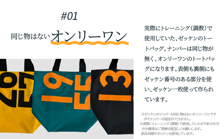 ポニーLプラス(美浦カラー)　JRA 日本中央競馬会