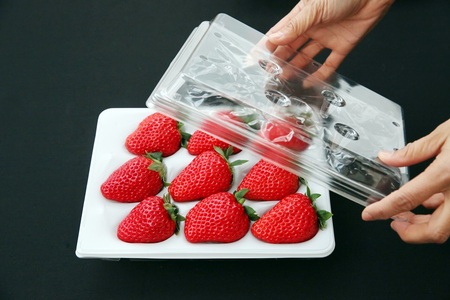 数量限定!お日さまの雫 完熟朝穫りプレミアムいちご 6トレー