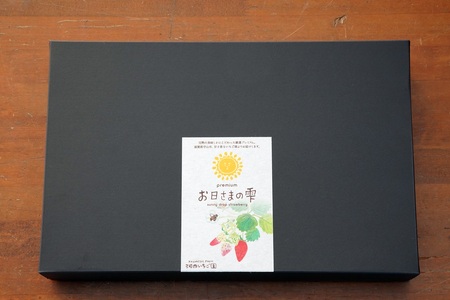 数量限定!お日さまの雫 完熟朝穫りプレミアムいちご 6トレー