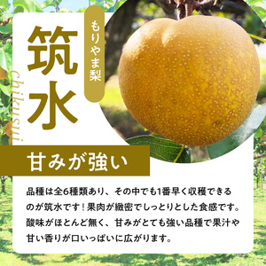 びわこもりやまフルーツランド  もりやま梨　筑水詰め合わせ  完熟採り　生産農家直送 CV-0010