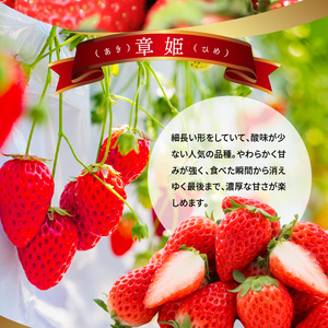 【2026年2月からお届け】いちご2ホール 9粒～12粒×2