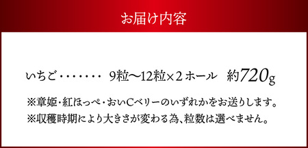 【2026年2月からお届け】いちご2ホール 9粒～12粒×2