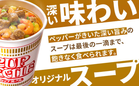 【全6回定期便】日清カップヌードル（1ケース20食入）/ カップラーメン カップ麺 ラーメン 定期便 インスタント麺 備蓄 防災 災害 保存食 非常食 / 栗東市 / 日清食品株式会社 [BIBI008]