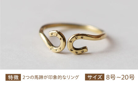 【選べるサイズ】 馬蹄 ツインリング 8-20号 [BIBP012] ツインリング