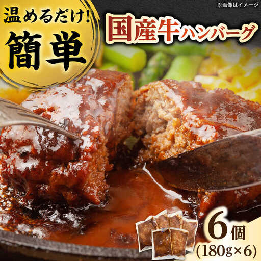 国産牛ハンバーグ 6個 / 牛肉100% 温めるだけ 冷凍 個包装 惣菜 おかず / 栗東市 / 株式会社近江フーズ[BIBU003]