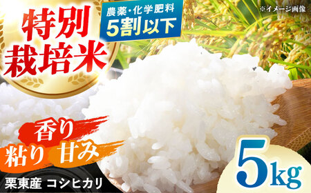 りりちゃそ！コシヒカリ15kg、ひとめぼれ15kg！ 先行予約 】 令和5年産 茨城県産 コシヒカリ 15kg （ 5kg × 3袋