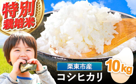 令和7年度産 栗東産 特別栽培米 コシヒカリ 10kg / 栗東市 / レーク滋賀農業協同組合[BIBV004]