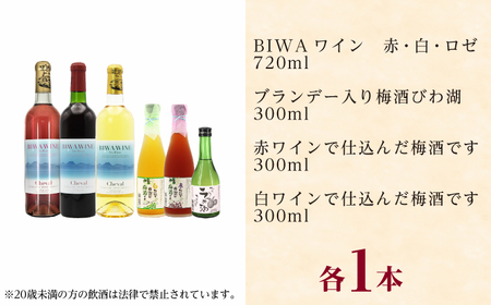 BIWA・梅酒セット 栗東市 太田酒造 BIAC012 梅酒