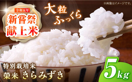 【先行予約・25年11月以降順次発送】特別栽培米『榮米』きらみずき 5kg 栗東市 / AMAファミリーズ榮農場 [BIAI023]