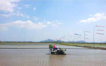 【先行予約・25年11月以降順次発送】特別栽培米『榮米』きらみずき 5kg 栗東市 / AMAファミリーズ榮農場 [BIAI023]