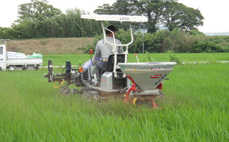 【先行予約・25年11月以降順次発送】特別栽培米『榮米』きらみずき 5kg 栗東市 / AMAファミリーズ榮農場 [BIAI023]