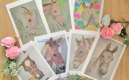 馬のまち栗東　馬と花のステーショナリーセットA / 切手 ポストカード メモ帳 クリアファイル 雑貨 / 栗東市 / nashira (nashira picture of horse)[BIBN001]