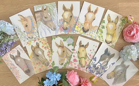 馬のまち栗東　馬と花のステーショナリーセットA / 切手 ポストカード メモ帳 クリアファイル 雑貨 / 栗東市 / nashira (nashira picture of horse)[BIBN001]