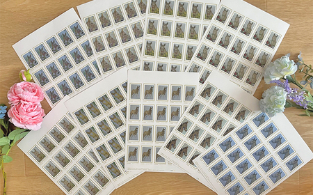 馬のまち栗東　馬と花のステーショナリーセットB / 切手 ポストカード メモ帳 クリアファイル 雑貨 / 栗東市 / nashira (nashira picture of horse)[BIBN002]