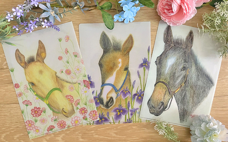 馬のまち栗東　馬と花のステーショナリーセットB / 切手 ポストカード メモ帳 クリアファイル 雑貨 / 栗東市 / nashira (nashira picture of horse)[BIBN002]