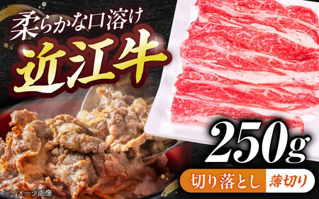 近江牛切り落とし（薄切り）250g  栗東市 / 有限会社 岡山[BIBE052]
