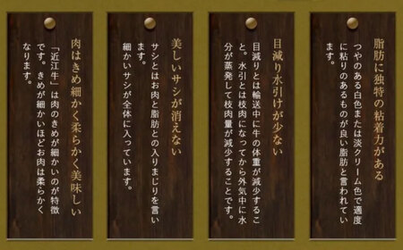 厳選近江牛サーロイン（4枚）800g  / 牛肉 和牛 国産牛 黒毛和牛 サーロインステーキ 厚切り 霜降り 高級 / 栗東市 / 有限会社 岡山[BIBE032]