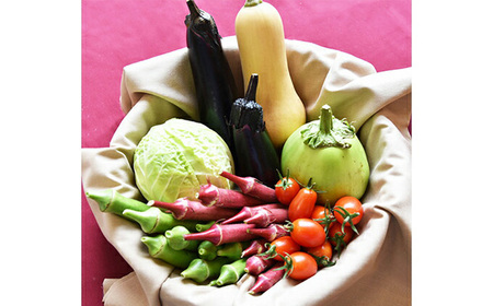 和らぎ農法　わっさんの食いしん坊野菜　栗東市産　旬の野菜便 栗東市 / 株式会社　ワダケン [BIBM001]