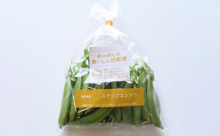 【先行予約受付中】旬の野菜 豆まめ まんぷく便　旬 新鮮 スナップエンドウ えんどう豆 エンドウ 豆