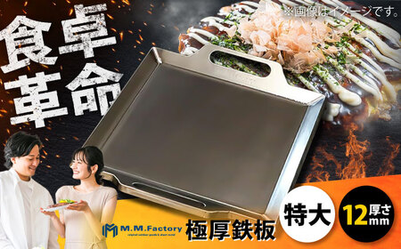 【極厚鉄板】TM-120 [BIBA016] 鉄板 キャンプ アウトドア バーベキュー