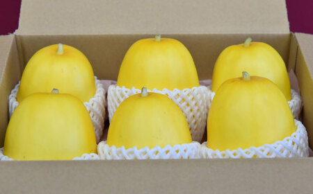 【2026年7月下旬より順次発送】旬の野菜 懐かしまっか便（栽培期間中、農薬・化学肥料・動物性堆肥不使用）/ まくわうり セット 詰め合わせ 新鮮 野菜 旬 / 滋賀県 栗東市 / ワダケン リアルソイルハウス [BIBM006]