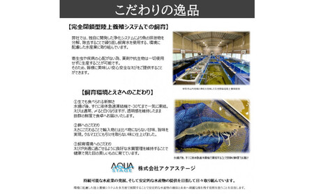 甲賀水晶えび 200g × 3パック