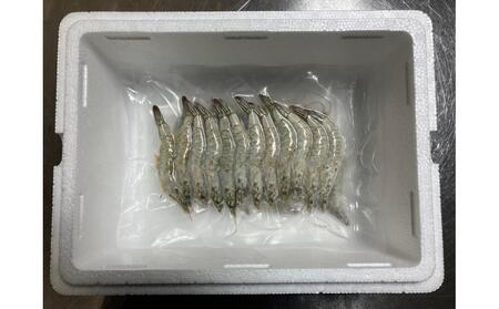 甲賀水晶えび 200g × 2パック