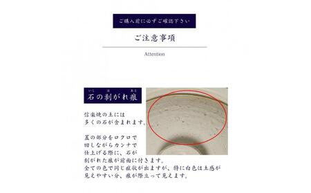 信楽焼 10号土鍋 ご飯鍋（きなり色）