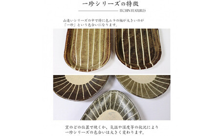 信楽焼 山逢いシリーズ たわみパスタ皿（大） 陶器 【一珍】