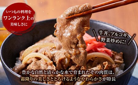 近江牛 小間切れ 520ｇ