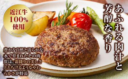 近江牛 生ハンバーグ 120g×5個入