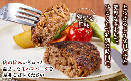 近江牛 生ハンバーグ 120g×5個入