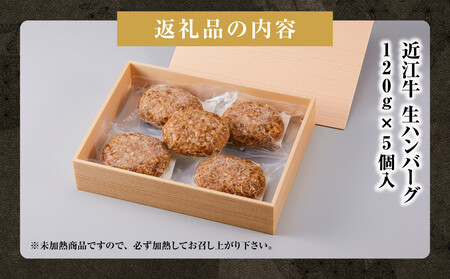 近江牛 生ハンバーグ 120g×5個入