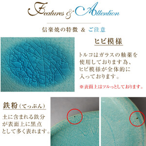 信楽焼 清流 カレー皿 / パスタ皿