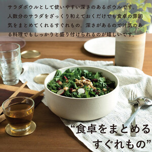SHIROTSUCHI BOWL（L）ac-01　GRAIN WARE【信楽焼・明山】