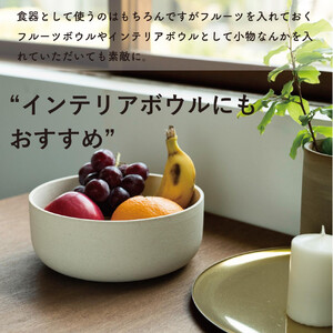 SHIROTSUCHI BOWL（L）ac-01　GRAIN WARE【信楽焼・明山】