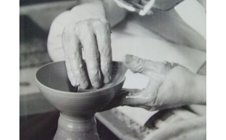 【信楽焼】徳利＆ぐいのみ（緋色）　日本酒　nwu-026